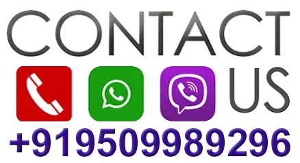 kamakhya vashikaran specialist in kamakhya tantra